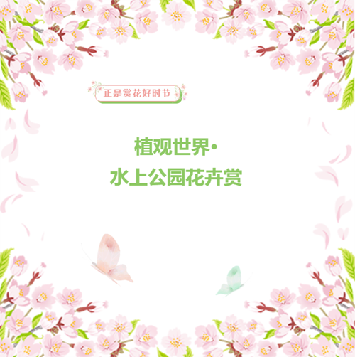 微信图片_20230423172221.png