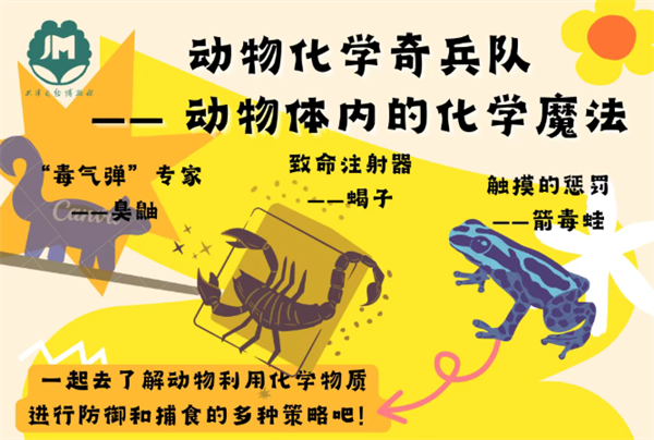 84ba35455422993efe65bda6d30a80a2.png