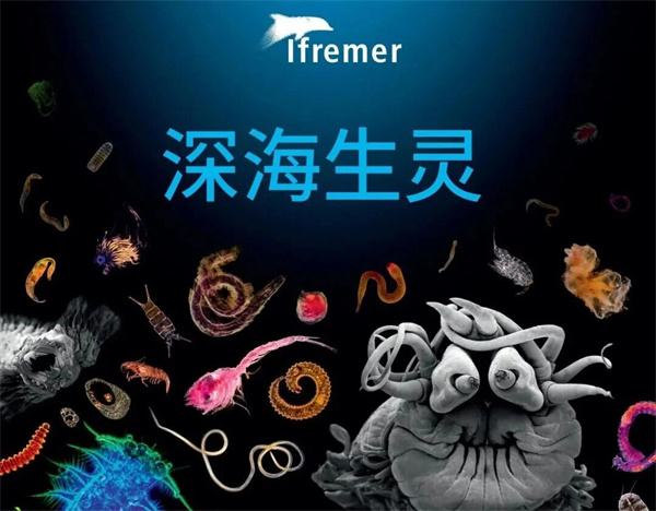 1022-玩-02.jpg