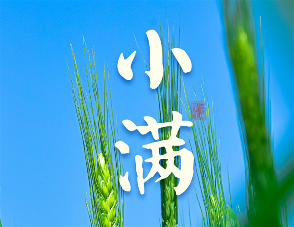 76346ba6-3bfa-4353-b89f-12536597cbe9.png