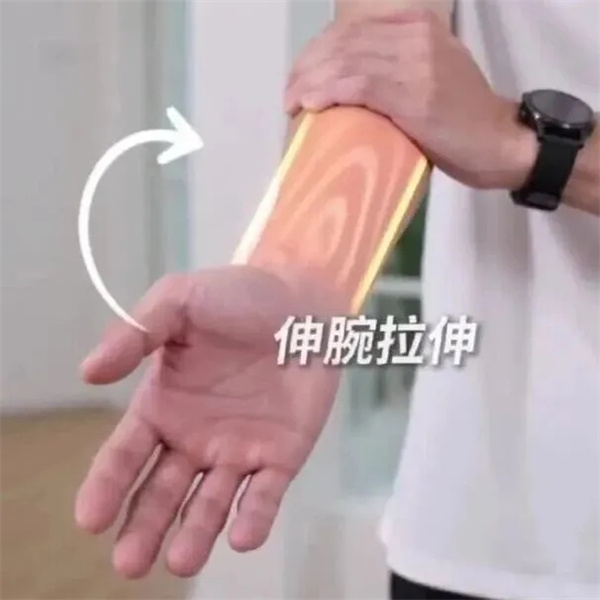 a408b59882cc5163255ceb7d05a6f604-sz_27239.webp.jpg