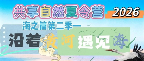 767d24ac2019548e30fcd6d1cd609658-sz_76619.webp.jpg